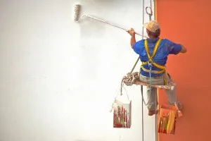 Tipuri de role pentru pictura pereții alegerea potrivită (35 poze) (opțional) Tipuri de role pentru pictura pereții alegerea potrivită (35 poze)
