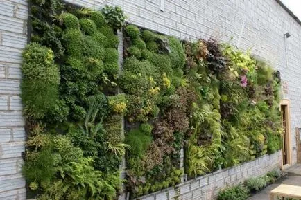 Paturi verticale pentru petunii cu mâinile lor