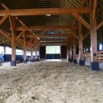 Cultivarea oilor la stâna acasă pentru oile cu propriile sale mâini