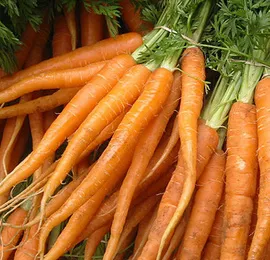Vitamina A (retinol)