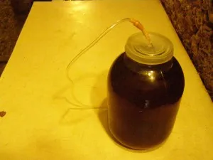 Capcana cu apa pentru vin cu propriile sale mâini, casa (cu mâinile) Capcana cu apa pentru vin cu mâinile proprii lui, casa