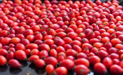 Vitamina a, b, c descrierea și efectele asupra organismului