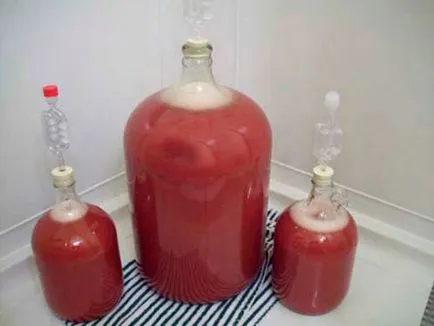 Vinul din gem fermentat - cele mai bune rețete (fermentat) Vinul din gem fermentat - cele mai bune rețete