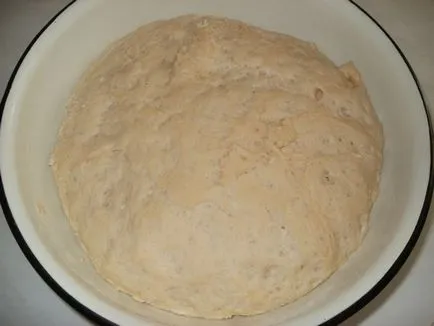 belyashi Delicious de - a - la - I