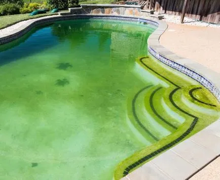 Apa din piscina avansat verde, care face recomandări practice (piscina avansat verde pentru a face) Apa din piscina avansat verde, care face recomandări practice