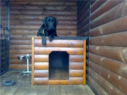 Aviary pentru rasele mari de câini Alabai, cioban, fotografie husky