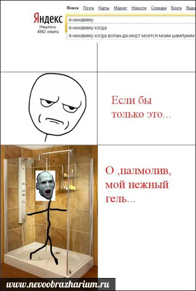 Nu-mi place când Lord Voldemort spală sampon meu (mea) Nu-mi place când Lord Voldemort spală sampon meu