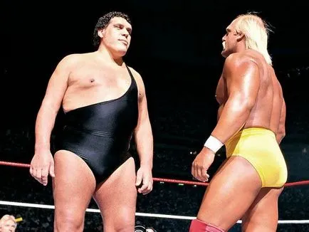 Hulk Hogan - 60 de ani!