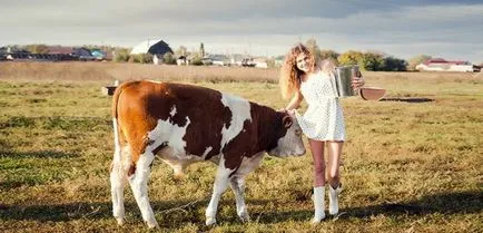 Conspirație la pui de fermă, care zburau de vaca deochi