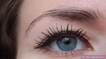 dermatograf lichid stilou pentru a stăpâni ochi precise (nuanță neagră) din Maybelline - comentarii, fotografii și
