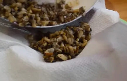 Julienne cu carne de pui si ciuperci cele mai bune rețete cu fotografii