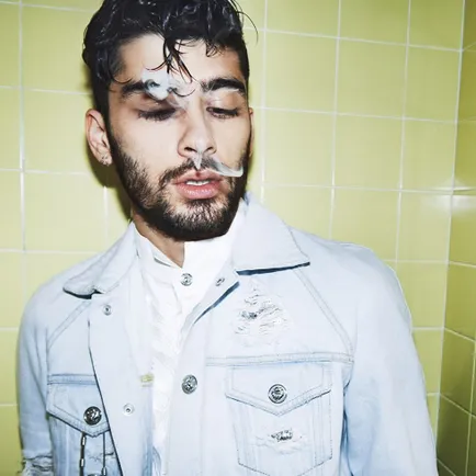Zayn Malik biografia, viața personală, fotografii