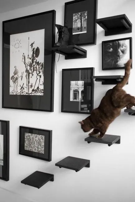 viata pisicii intr-un mic apartament câțiva pași simpli pentru confortul unui animal de companie