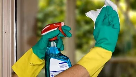 15 Cleaners oglinzi de uz casnic la domiciliu - cum și ce oglindă spălare
