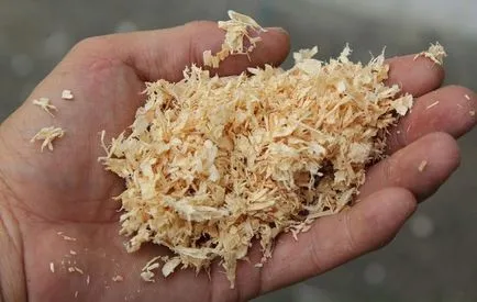 13 moduri de a utiliza rumeguș în grădină