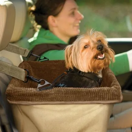 16 auto utile accesorii care vor face călătoria mai confortabilă (auto) 16 auto utile accesorii care vor face călătoria mai confortabilă
