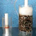 Homemade acvariu - acvaristi începător