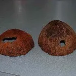 Homemade acvariu - acvaristi începător