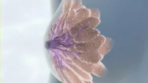 Adenoza tipuri de boli, cauzele, diagnostic și tratament (adenoza) Adenoza tipuri de boli, cauzele, diagnostic și tratament