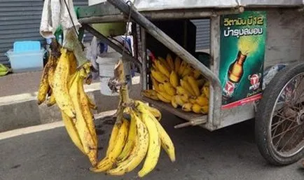 Bananele sunt diferite - albastru, galben, roșu