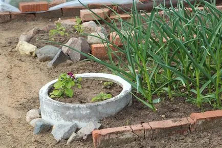 Paturi din beton pentru flori cu propriile sale mâini cum să facă o frumoasă grădină de flori