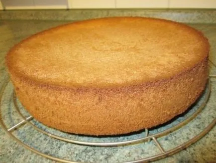 Biscuit tort - rețete cu fotografii