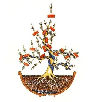 Bonsai master-class cu mâinile sale cum să facă un bonsai reală și artificială