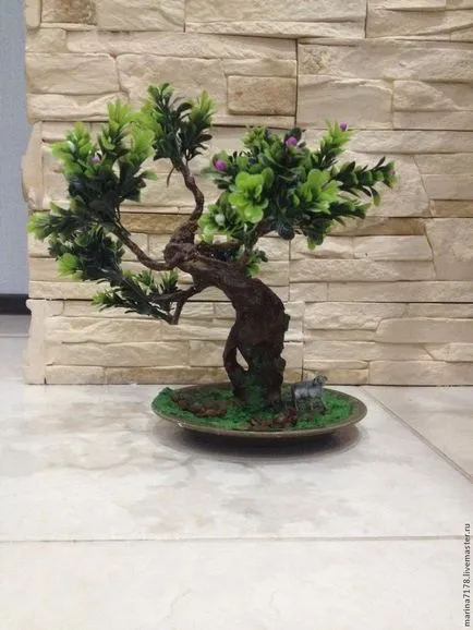 Bonsai master-class cu mâinile sale cum să facă un bonsai reală și artificială