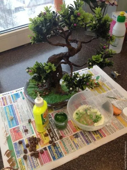 Bonsai master-class cu mâinile sale cum să facă un bonsai reală și artificială