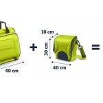 Valiza pentru bagajele de mână în avion modul de a alege și de unde să cumpere (manual) Valiza pentru bagajele de mână în avion modul de a alege și de unde să cumpere