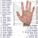Frecvența este indicată printr-o literă în fizică - lista denumirilor în fizică (indicată) Frecvența este indicată printr-o literă în fizică - lista denumirilor în fizica