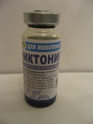 Chiktonik pentru păsări, găini și iepuri compoziția și calitățile utile, indicații și instrucțiuni (de păsări) Chiktonik pentru păsări, găini și iepuri de compoziție și calitățile utile, indicații și instrucțiuni