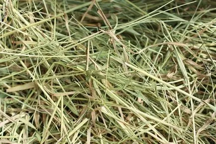 Ce să se hrănească o premixuri pentru vaci, hrana pentru animale, vitamine pentru bovine