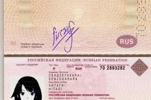 Ceea ce este necesar pentru pașaportul noului set eșantion de documente și depunerea unei cereri (actele) Ce ai nevoie pentru un nou set de probă pașaport de documente și depunerea unei cereri