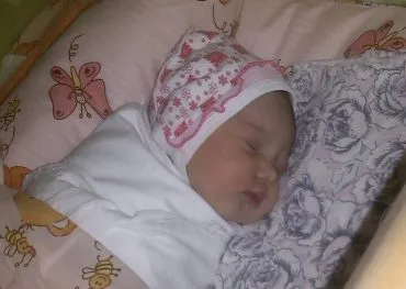 Ceea ce a fost pierdut în laptele matern