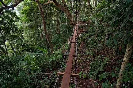Ce să vezi pe insula Koh Chang de atracții (Chang) Ce să vezi pe insula Koh Chang de atracții