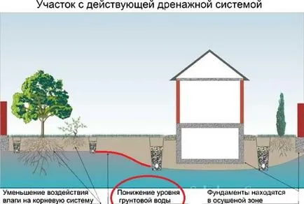 Ce se poate face în cazul în care apa din subsolul unei instrucțiuni video de instalare, cu mâinile lor, în special de foraj