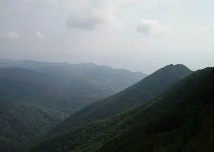 Ce să vezi în Lazarev (primele 5 locuri)
