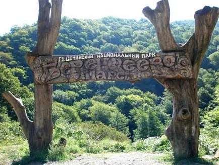 Ce să vezi în Lazarev (primele 5 locuri)