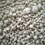 Care este utilizarea de var nestins în țară, în horticultură ca formula contraincendiar fărâmițate (cerere) Care este utilizarea de var nestins în țară, în horticultură ca formulă stingeți, sol,