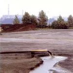 Care este savana, răspunsuri la întrebări