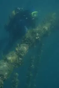 Ce este meu mariculturii viață