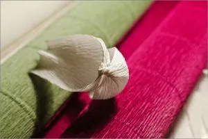 Flori de dulciuri cu mâinile sale (foto), un master-class pentru incepatori pas cu pas
