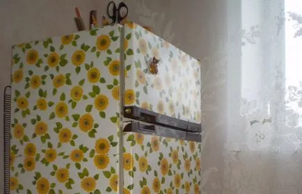 frigider cu mâinile lor decorul - idei, metode, foto