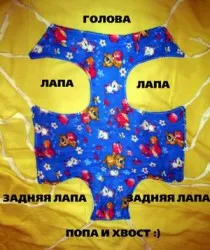 Care este patura pentru pisica și cum să-l facă-te