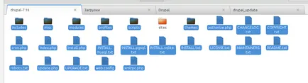 actualizare de bază Drupal la cea mai recentă versiune