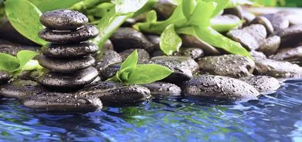 Zen - o
