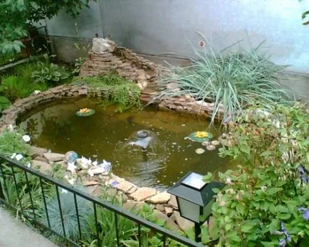 Pași pentru crearea unui rezervor de băi vechi în țară și cum să se proiecteze (de la vechiul iaz de baie foto) Pași pentru crearea unui rezervor de băi vechi în țară și modalități de a proiecta