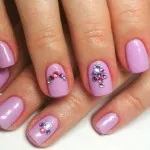 Nail Photo acoperite cu lac gel - 32 variante (polish gel) Nail Photo acoperite cu lac gel - 32 varianta