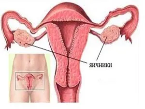 Foliculilor în ovare la menopauza principalele motive pentru modificările